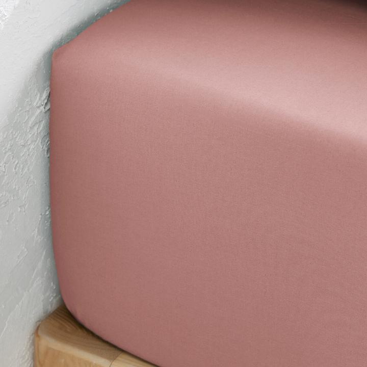 Produktbild La Redoute Interieurs Fixleintuch Scenario aus Baumwollperkal (180 x 200 cm)