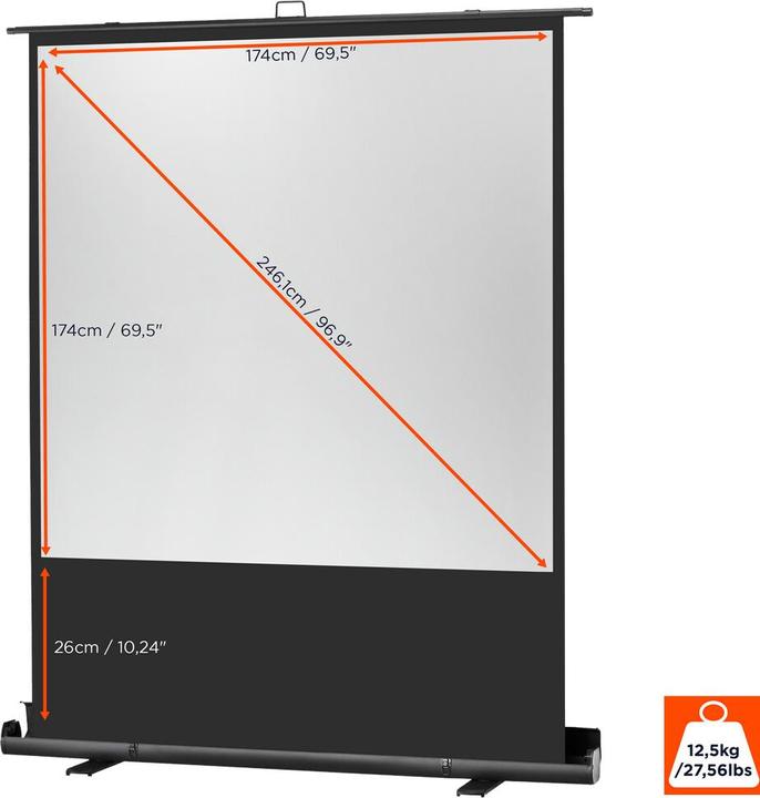 Actual product image Celexon Ultramobil Plus Professional (96", 1:1)