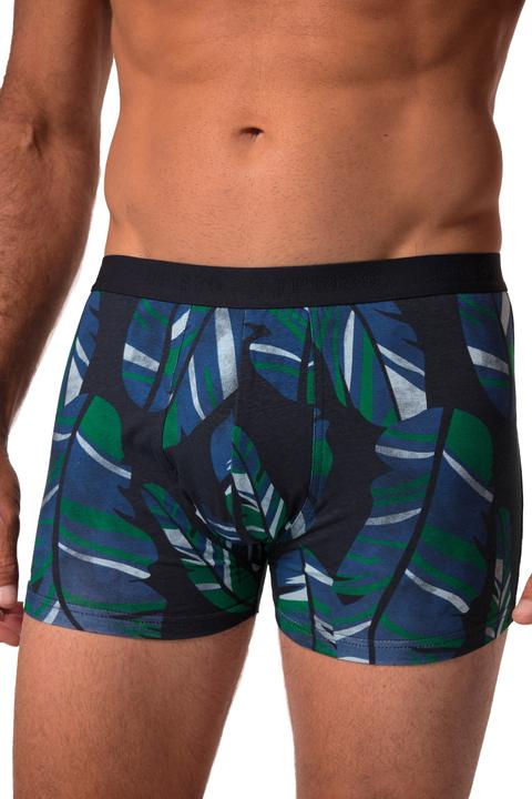 Produktbild JP1880 JP 1880 Hip-Pants FLEXNAMIC®, OEKO-TEX, 2er-Pack, Unterhose, bis 8XL (8XL, 2er Pack)
