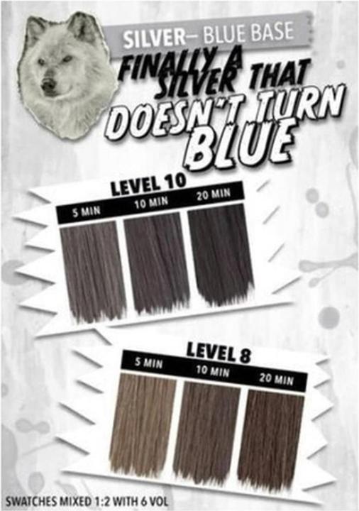 Produktbild Pulpriot High Speed Toner Silver