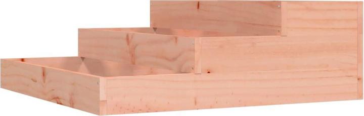 Natürliches Douglasie