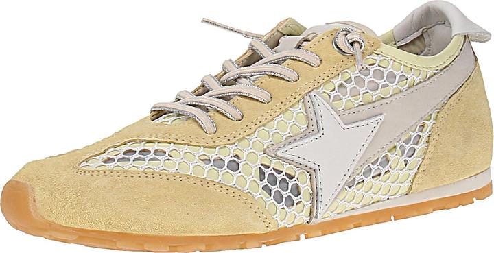 Sandwich-Lemon-Light