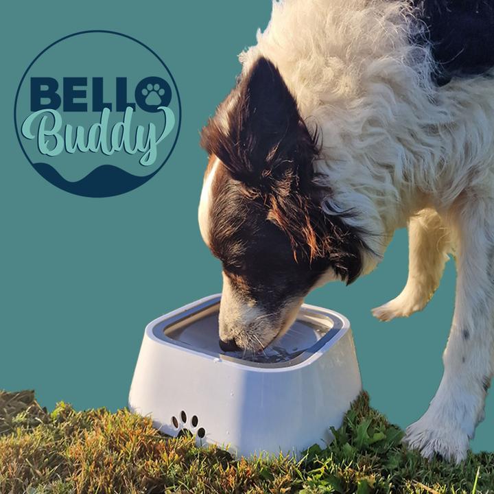 Produktbild MediaShop BelloBuddy Hundewassernapf (1.50 l)