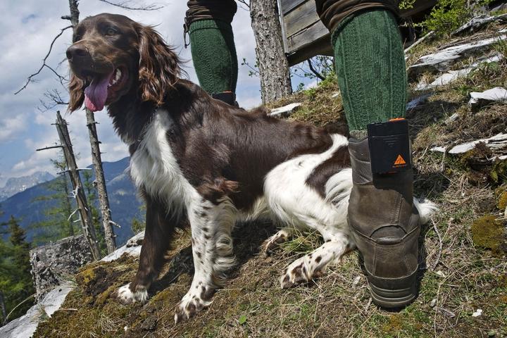 Produktbild Alpenheat FireTrend beheizte Einlegesohlen