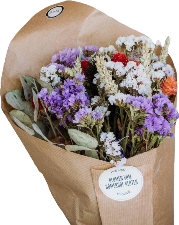 Jucker Farm Trockenblumenstrauss (Fiori secchi, 1x)