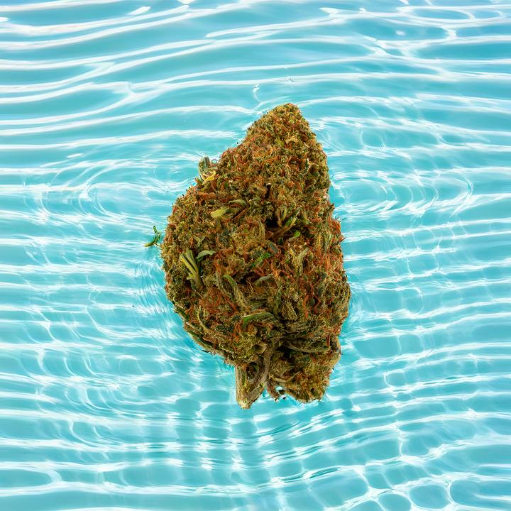 Produktbild Green Passion Alpina Green (10 g, Outdoor)