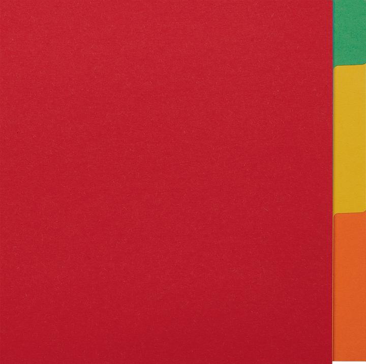 Produktbild Esselte Kartonregister Blanko