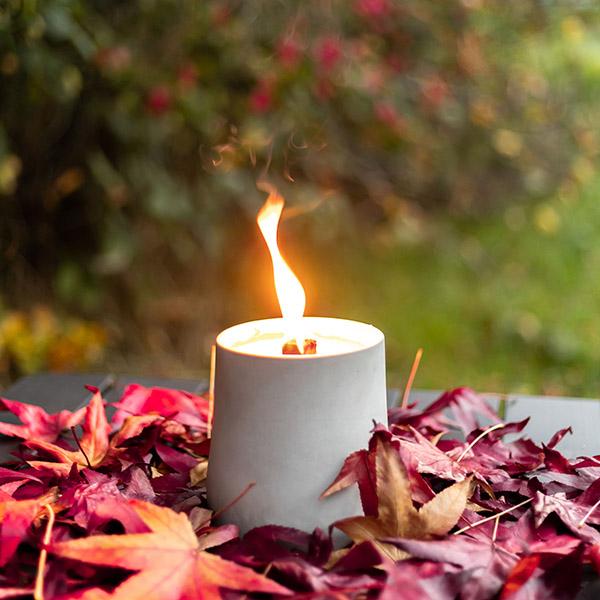 Produktbild Betolz Clarus