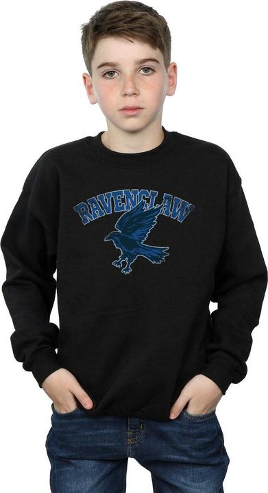 Immagine prodotto Ravenclaw Sport Emblem Felpa Ragazzi (152, 158)