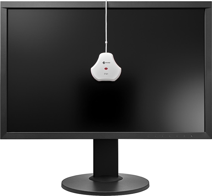 Actual product image Eizo Ex4