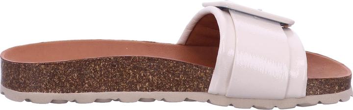 Immagine prodotto Verbenas Reiko (41)