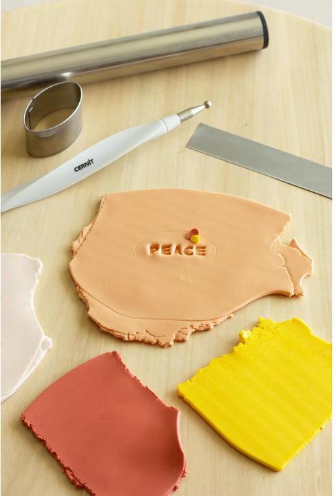 Actual product image Cernit Stainless steel scooter