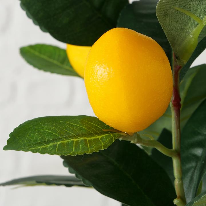 Actual product image Boltze Home Pot Plant Lemon 32cm indoor (32 cm)