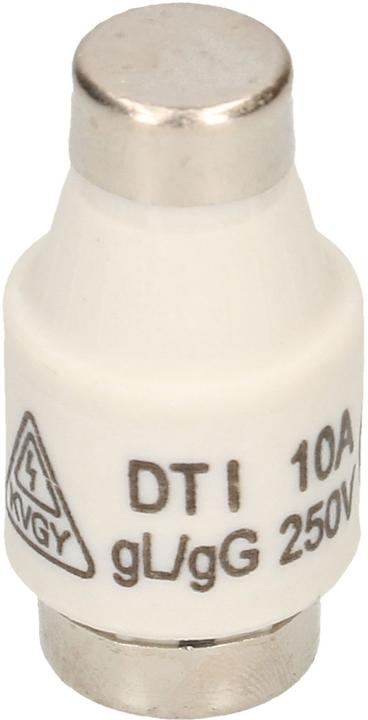Actual product image Max Hauri Schurter DT, 5 pieces (10 A)