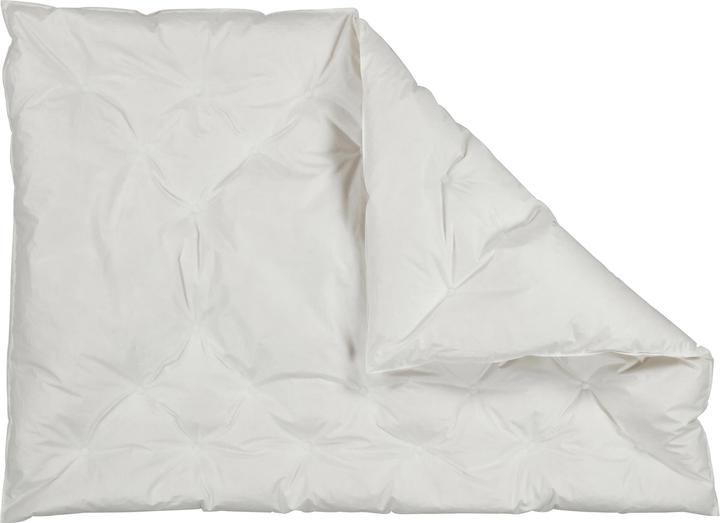 Image du produit Albis Duvet pour enfants Simba 100 x 135 cm, poids de remplissage 330 g