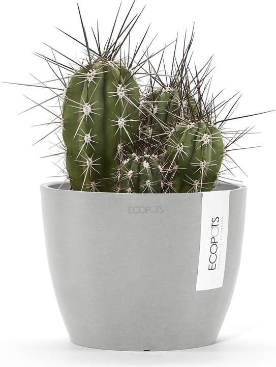 Produktbild Ecopots Stockholm (16 cm)