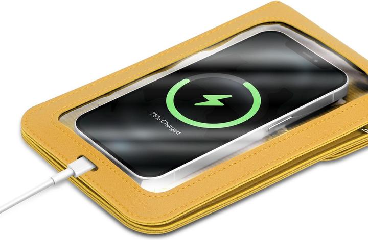 Immagine prodotto Cadorabo Custodia per Samsung Galaxy FAME borsa per donna (Samsung Galaxy Fame)