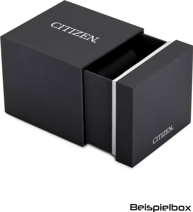 Produktbild Citizen Eco-Drive Titanium EW2610-80L (Analoguhr, 31 mm)