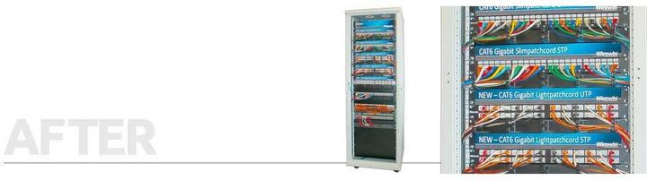 Produktbild Wirewin Slim Patchkabel: UTP, 50cm, orange (U/UTP, CAT6, 0.50 m)