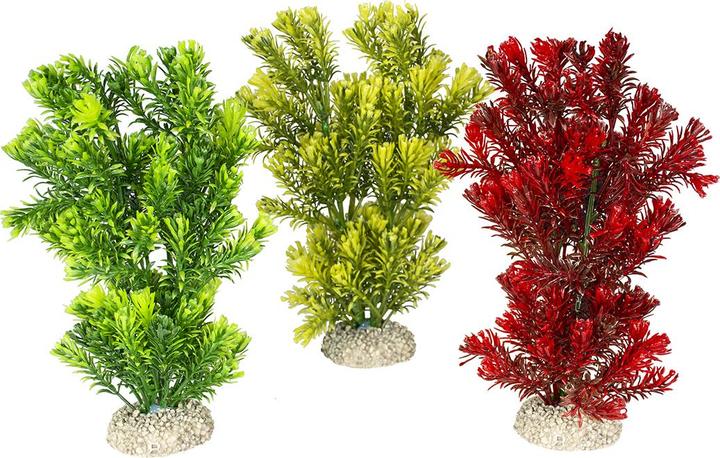 Actual product image EBI Aqua Della Plant Canadensis Set S (Embellishment, Flora)