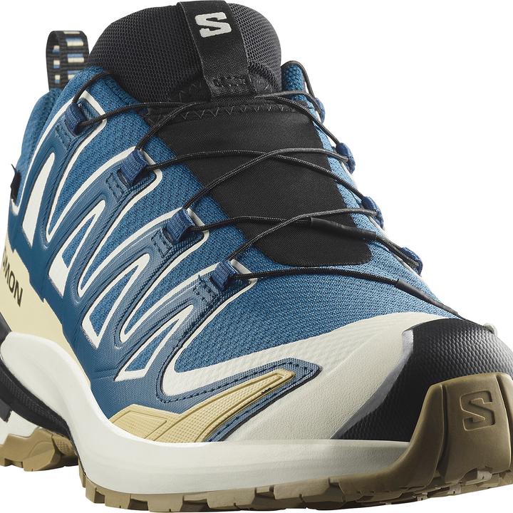 Actual product image Salomon Herren XA Pro 3D v9 GTX Laufschuhe (43 1/3)