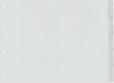 Kangaro Intercalaires vierges DIN A3 5 pièces carton 4 trous G305FB