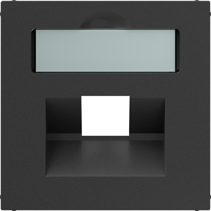 Productafbeelding Legrand SEANO afdekking 1x RJ45 f 765458 datacontactdozen van andere fabrikanten Antraciet