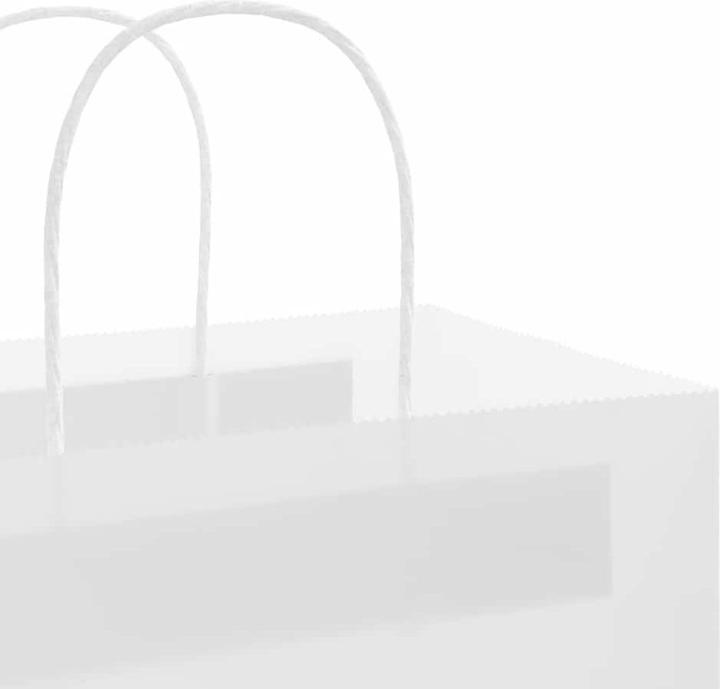 Image du produit vidaXL Papiertragetasche (250x)