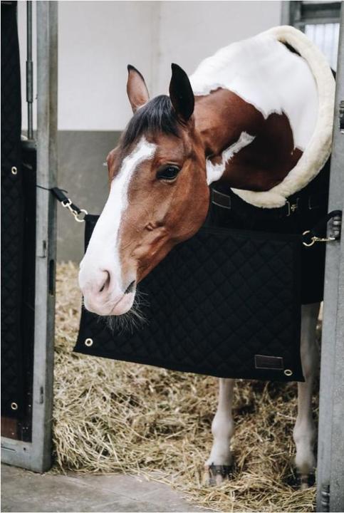 Image du produit Kentucky Horsewear Rideau de porte de box "Stable Guard