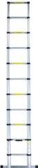 Actual product image pavo Head (Telescopic ladder, 320 cm)