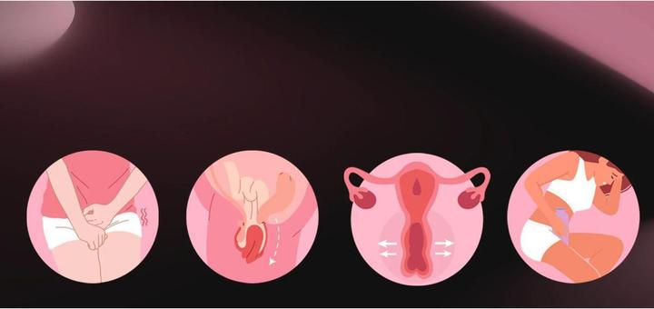 Produktbild Honey Play Box HoneyPlayBox – PUFF Kegeltrainer – Rot