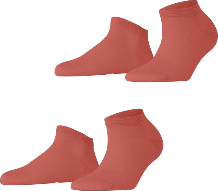 Rust Red