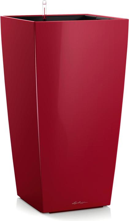 Scarlet Rot Hochglanz