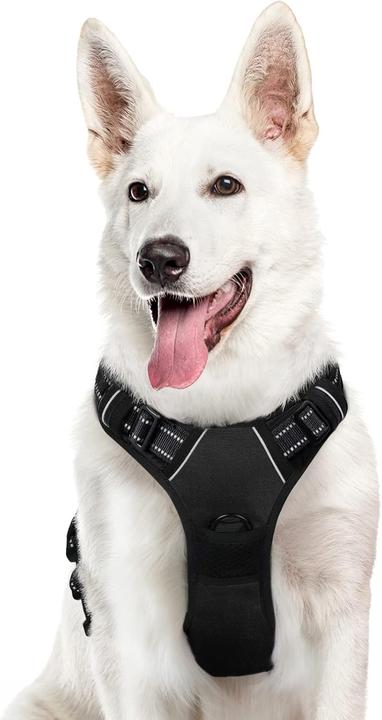 Julius-K9 K9 Speed harness, Size: L, red buy at Galaxus