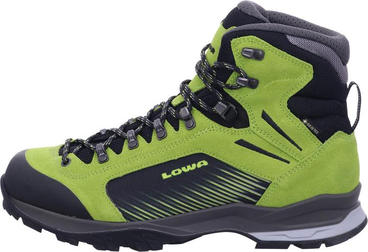 Produktbild Lowa Vigo GTX (41)