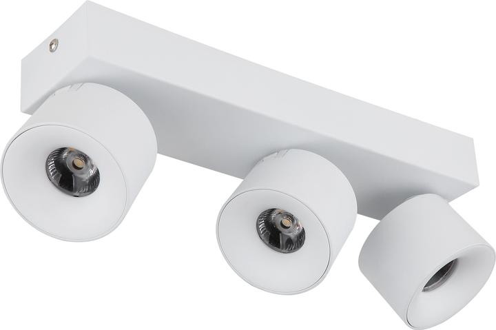 Actual product image Globo Rae