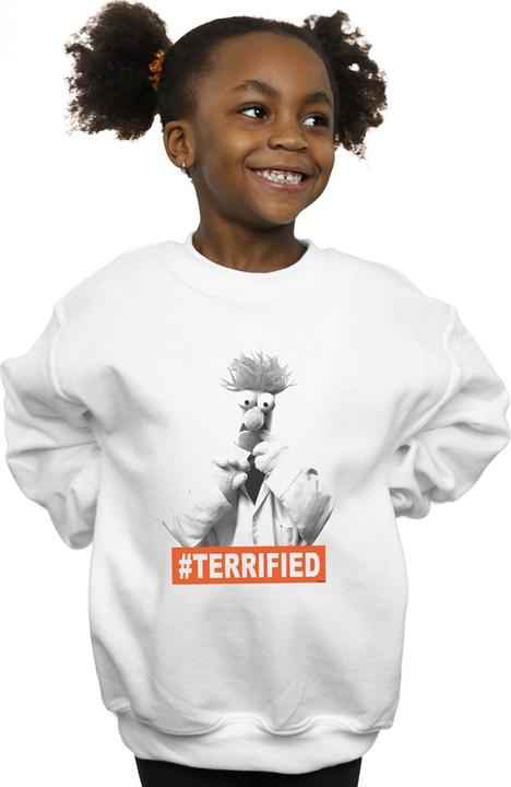 Image du produit Disney - Sweat THE MUPPETS BEAKER TERRIFIED - Fille (152, 158)