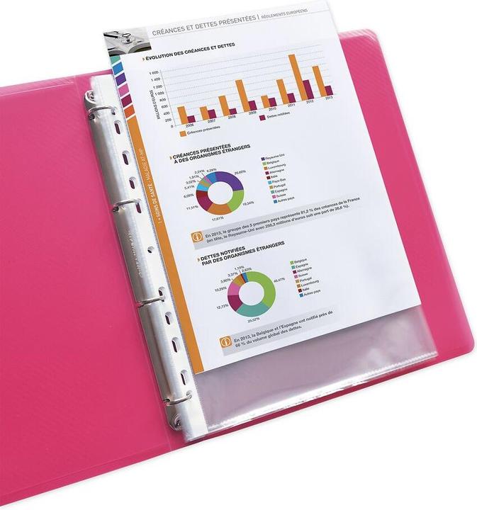 Produktbild Elba Prospekthülle (A4, 100x)