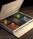 Actual product image Theory11 Harry Potter Box Set (English)
