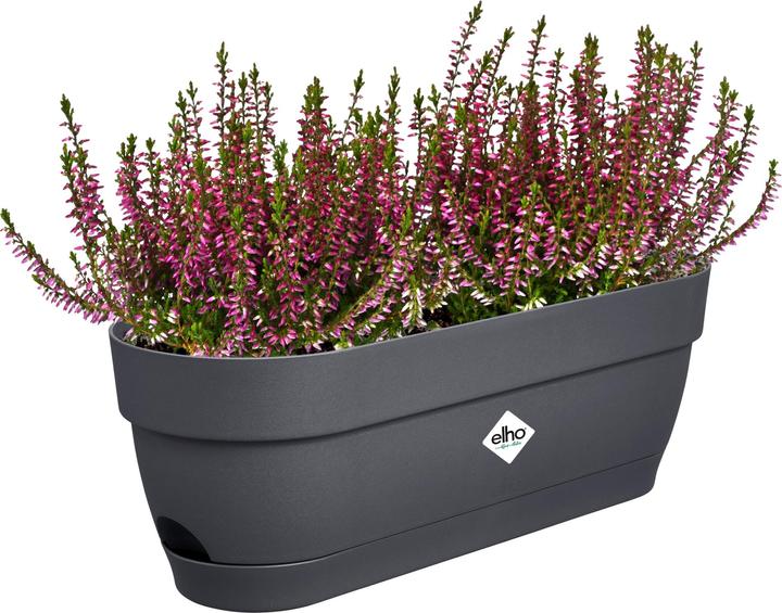 Immagine prodotto Elho Balkonkasten Vibia Campana 49x18.2x17 cm (18.20 cm)