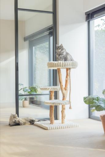 Produktbild Designed by Lotte Kratzmöbel Raja (Creme)