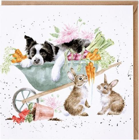 Wrendale Design Karte - Collie SLEEPING ON THE JOB Wrendale Designs (1 pcs.)