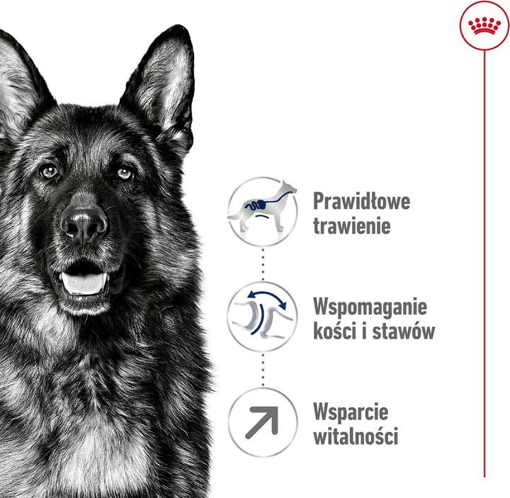 Actual product image Royal Canin Maxi Mature (Senior, 1 pcs., 15000 g)