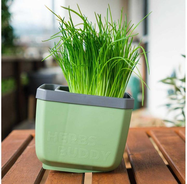 Actual product image Gusta Garden HERBS BUDDY Kräutertopf 3er Set Grün (49 x 15 x 14.50 cm)