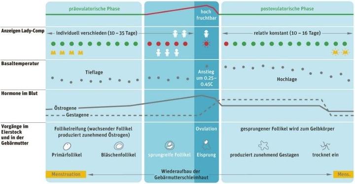 Image du produit Lady Comp Traceur de fertilité Lady-Comp