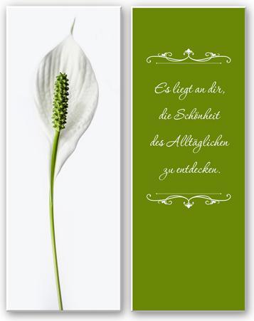 Immagine prodotto Trenddeko Sta a te scoprire la bellezza del quotidiano (2 parti) (40 x 100 cm)