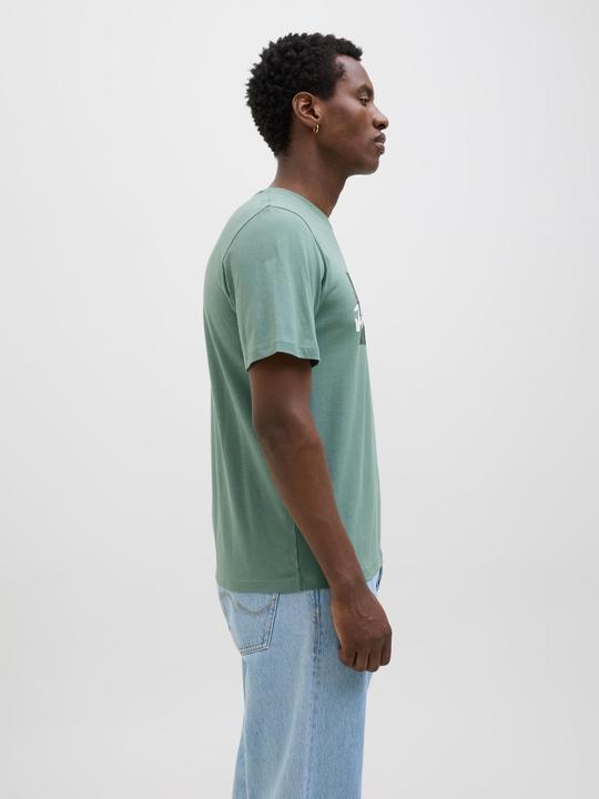 Image du produit Jack & Jones Jjhawaii Shape Tee Ss Crew Neck Ln (XS)