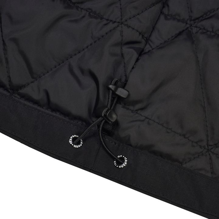 Produktbild Icepeak Alston