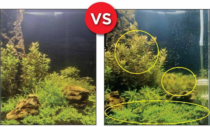 Immagine prodotto Fluval Set Bio Co2 (Trattamento dell'acqua dell'acquario)