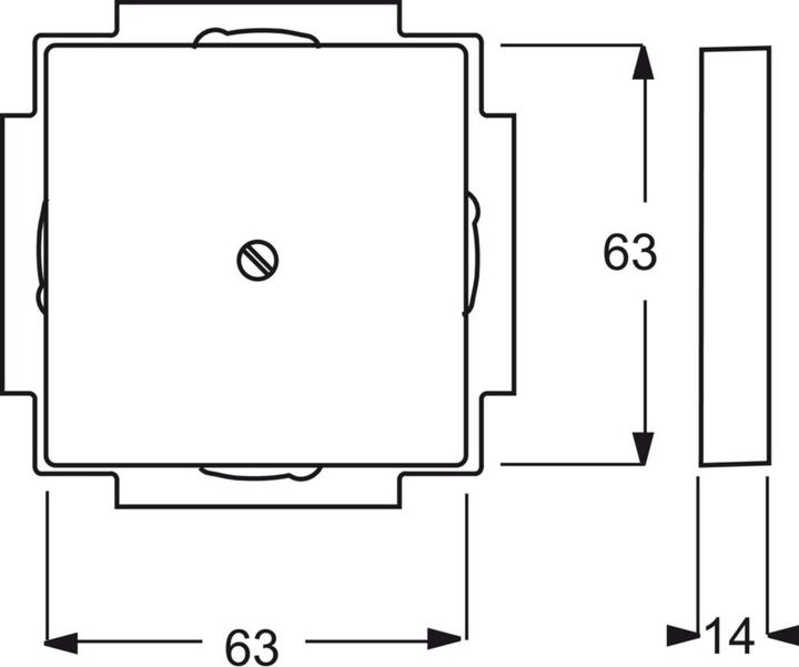 Actual product image Busch-Jaeger Central disk